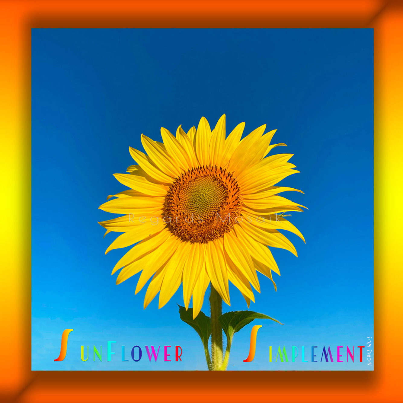 Simplement Sunflower